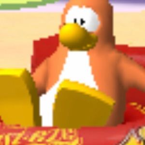 Meet your Posher, Ciara